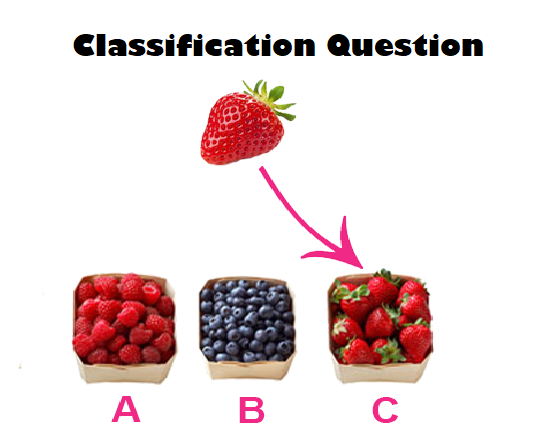 classification questions